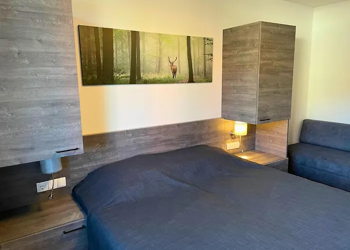 ホテル Alpenstyle *