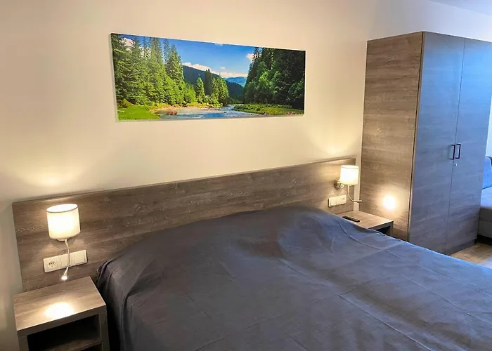 Alpenstyle ホテル *